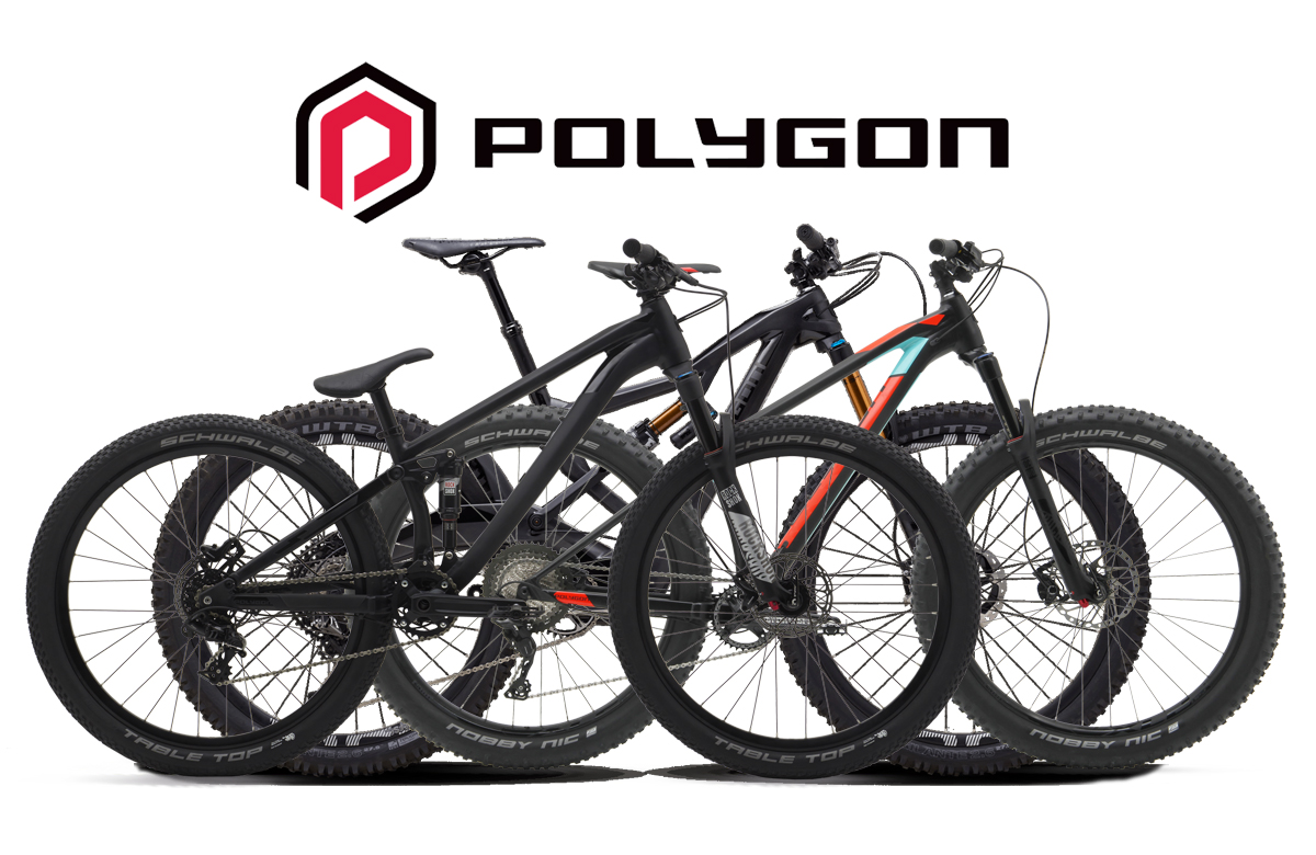 Polygon, Merek Sepeda Produk Indonesia Kualitas Dunia
